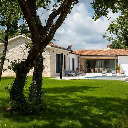 Luxury Gala With Pool And Grill In Tinjan Kringa